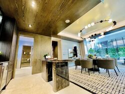 Klimt Cairnhill (D9), Apartment #319043591